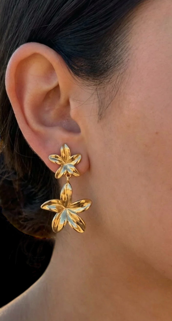 Floria